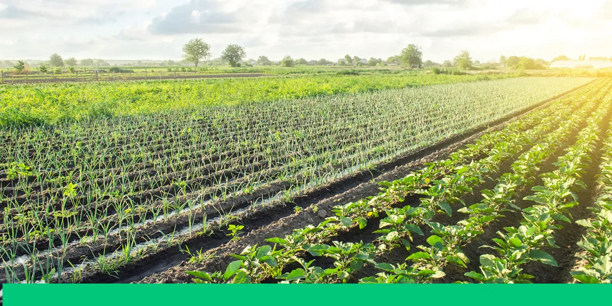 Tendências do agronegócio na imprensa brasileira em 2022